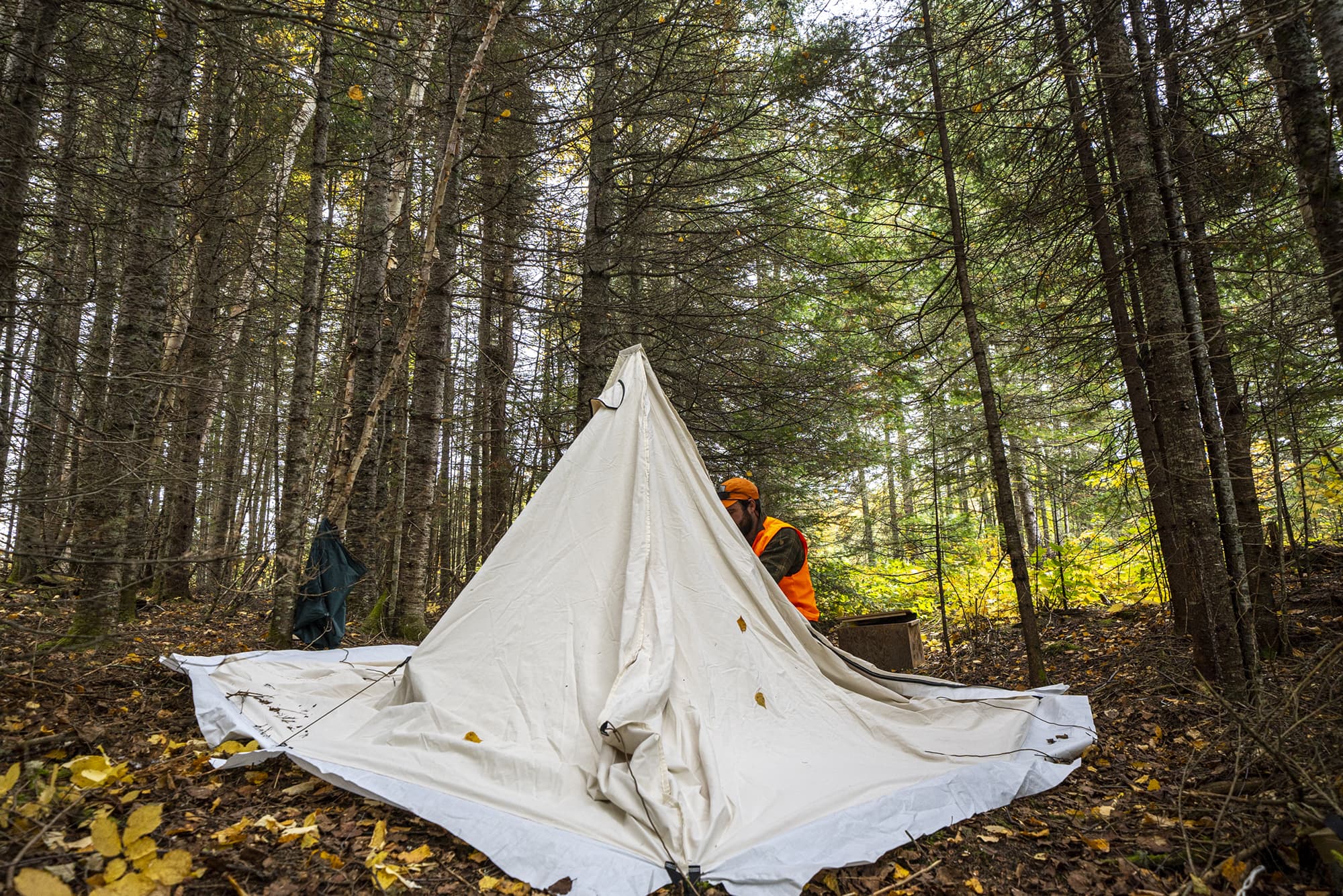 Tent Set up